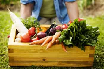 Immagine di SLOW FOOD IRPINIA COLLINE DELL'UFITA E TAURASI APS