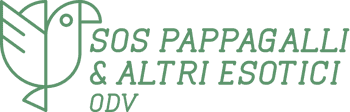 Immagine di SOS PAPPAGALLI E ALTRI ESOTICI ODV