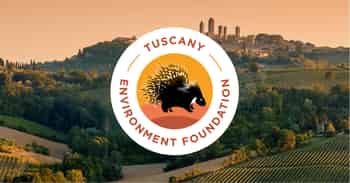 Immagine di TUSCANY ENVIRONMENT FOUNDATION APS