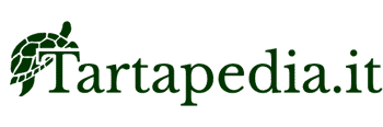 Immagine di ASSOCIAZIONE DI PROMOZIONE SOCIALE TARTAPEDIA