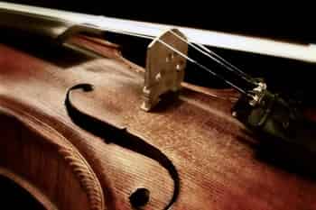 Immagine di OPERA VIWA APS