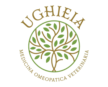 Immagine di UGHIEIA -APS