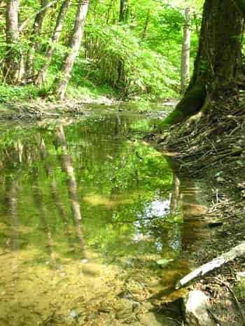 Immagine di VAL TASSOBBIO - APS