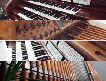 Immagine di VESPRI D'ORGANO A CRISTO RE ETS