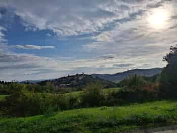 Immagine di ASSOCIAZIONE PRO LOCO MONTE GRIMANO TERME APS