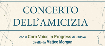 Immagine di CORO VOICE IN PROGRESS APS