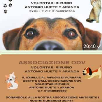 Immagine di VOLONTARI DEL RIFUGIO ANTONIO HUETE Y ARANDA ODV