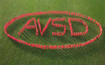 Immagine di ASSOCIAZIONE VOLONTARI DEL SOCCORSO ODV