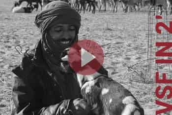 Immagine di VETERINARI SENZA FRONTIERE ITALIA ETS