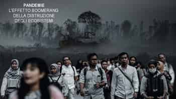 Immagine di WWF CASERTA ODV