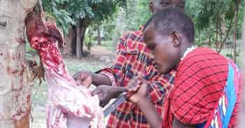 Immagine di L'AFRICA PER MANO ODV