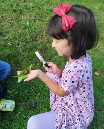 Immagine di WINP FREESCHOOLING APS