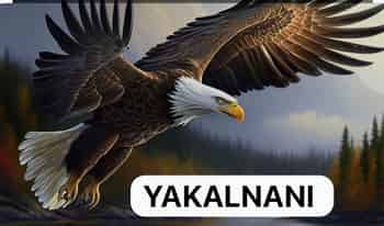 Immagine di ASSOCIAZIONE YAKALNANI ETS