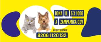 Immagine di ZAMPAMICA2010 ODV