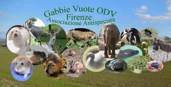 Immagine di GABBIE VUOTE ODV