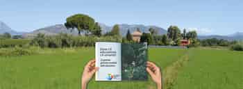 Immagine di NATURALMENTE EDU ASSOCIAZIONE DI PROMOZIONE SOCIALE
