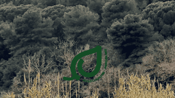 Immagine di AGROSILVAE Associazione di Promozione Sociale