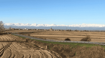 Immagine di Fondazione Danesino ETS