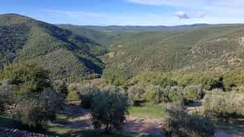 Immagine di Fondo Forestale Italiano ETS