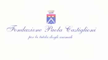 Immagine di Fondazione Paola Castiglioni per la tutela degli animali