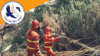 Immagine di Associazione Falchi del Sud - ODV