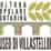 Logo di MUSEO DI CULTURA POPOLARE E CONTADINA (ODV ETS)