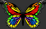 Logo di NAICA ODV