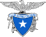 Logo di CLUB ALPINO ITALIANO SEZIONE DI BOFFALORA SOPRA TICINO - APS - ETS