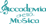 Logo di ACCADEMIA DELLA MUSICA A.P.S. ETS