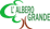 Logo di ASSOCIAZIONE CULTURALE 'L'ALBERO GRANDE'