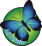 Logo di ALL SERVICE SOCIETA' COOPERATIVA SOCIALE