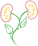 Logo di ASSOCIAZIONE NEFROLOGICA PONTINA ENTE DEL TERZO SETTORE