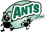Logo di ANTS APS PER L'AUTISMO - ASSOCIAZIONE NUOVI TALENTI SPECIALI