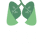 Logo di ASSOCIAZIONE INSIEME PER I PAZIENTI DI ONCOLOGIA POLMONARE APS
