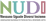 Logo di NESSUNO UGUALE DIVERSI INSIEME