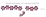 Logo di AMICO MIO ODV