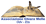 Logo di ODV CHIARA MELLE