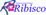 Logo di ASSOCIAZIONE RIBISCO ODV