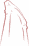 Logo di ASSIRCCO - ASSOCIAZIONE ITALIANA RECUPERO E CONSOLIDAMENTO COSTRUZIONI APS