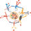 Logo di BIMBO CHIAMA BIMBO ODV