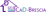 Logo di CASA DELLE DONNE CENTRO ANTIVIOLENZA CAD BRESCIA - ORGANIZZAZIONE DI VOLONTARIATO