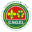 Logo di CNGEI SEZIONE SCOUT CALCERANICA AL LAGO APS