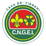 Logo di CNGEI SEZIONE DI CAVA DE' TIRRENI APS