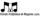 Logo di CORALE POLIFONICA DI MAGIONE APS