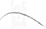 Logo di CORTI A PONTE APS