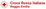 Logo di CROCE ROSSA ITALIANA - COMITATO DI REGGIO NELL'EMILIA - ORGANIZZAZIONE DI VOLONTARIATO