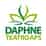 Logo di DAPHNE TEATRO APS