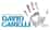 Logo di DAVID CARELLI ORGANIZZAZIONE DI VOLONTARIATO