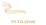 Logo di Orchestra Filarmonica Pugliese