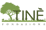 Logo di FONDAZIONE TINE' ENTE DEL TERZO SETTORE ETS